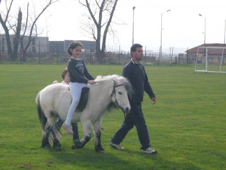 Petit tour en poney !